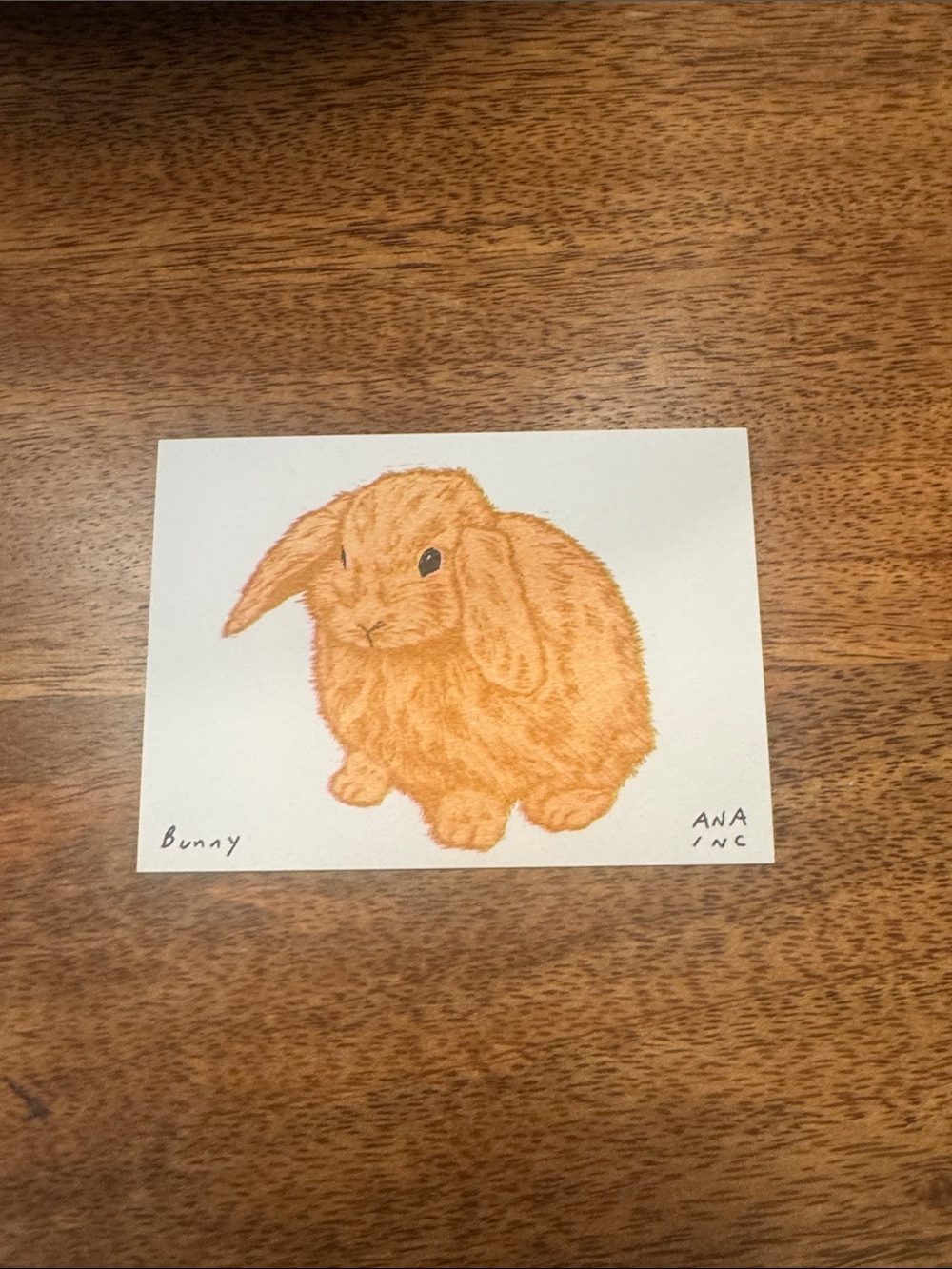 Inciardi - Bunny - Mini Print -